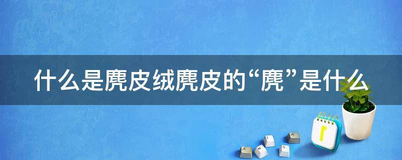 什么是麂皮绒麂皮的“麂”是什么 什么是麂皮绒?麂皮绒面料有什么优点和缺点?