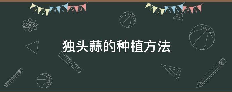 独头蒜的种植方法 独头蒜的种植方法视频前控后追