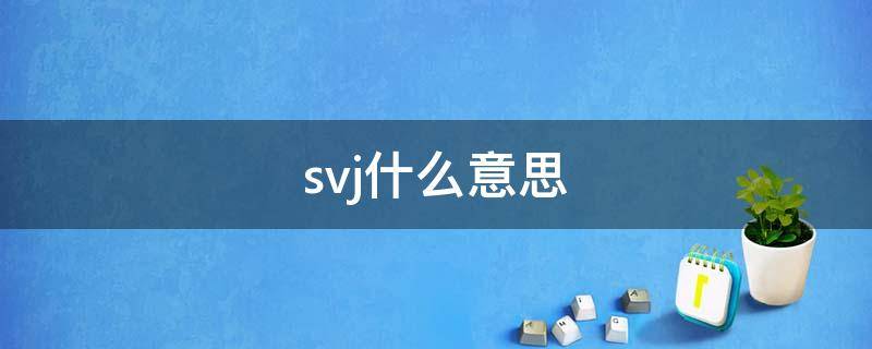 svj什么意思（SVJ什么意思）