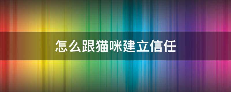 怎么跟猫咪建立信任（如何快速与猫咪建立信任）