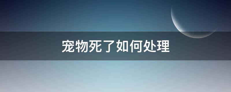 宠物死了如何处理 宠物死后处理方式