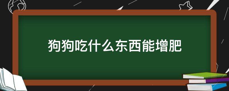 狗狗吃什么东西能增肥（狗狗吃什么增肥最快）