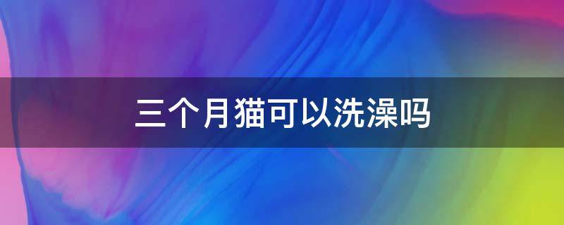 三个月猫可以洗澡吗 三个月的猫能洗澡么