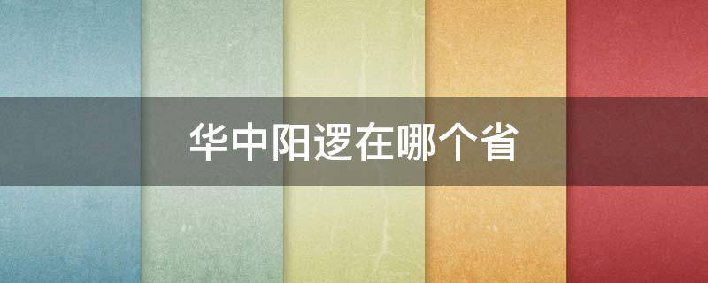 华中阳逻在哪个省 华中逻阳是哪里