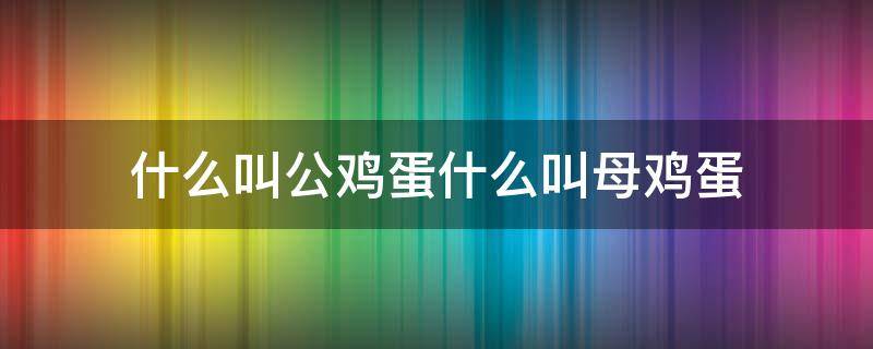 什么叫公鸡蛋什么叫母鸡蛋 啥是母鸡蛋啥是公鸡蛋