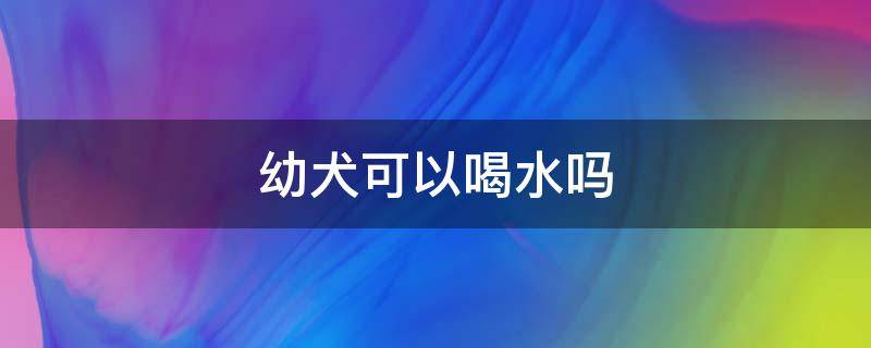 幼犬可以喝水吗（20天的幼犬可以喝水吗）