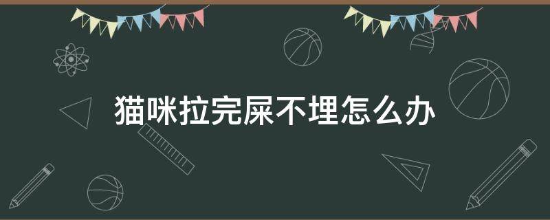 猫咪拉完屎不埋怎么办（猫咪拉完屎不埋怎么办如何纠正）