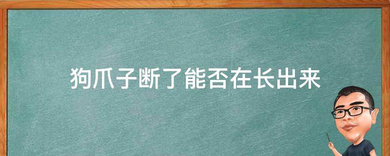 狗爪子断了能否在长出来 狗狗爪子上面的小爪子断了