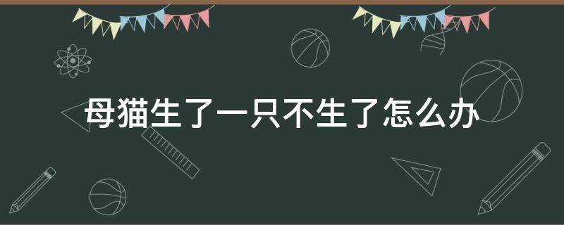 母猫生了一只不生了怎么办 母猫生了一只不生了怎么办,没有宫缩