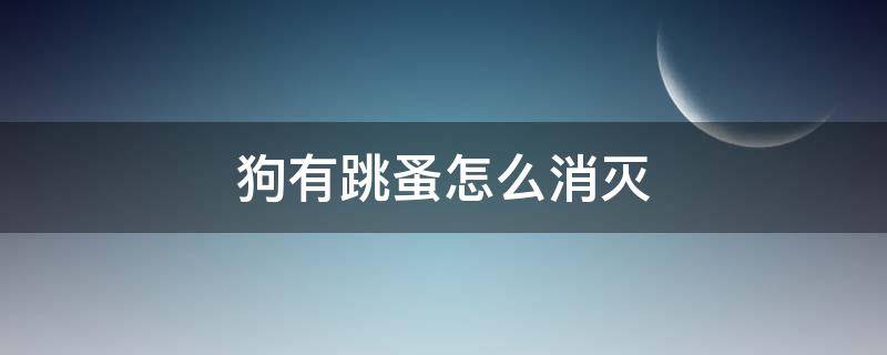 狗有跳蚤怎么消灭（狗跳蚤怎么彻底消灭,怎么去除跳蚤）