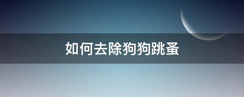 如何去除狗狗跳蚤 狗狗有跳蚤怎么去除