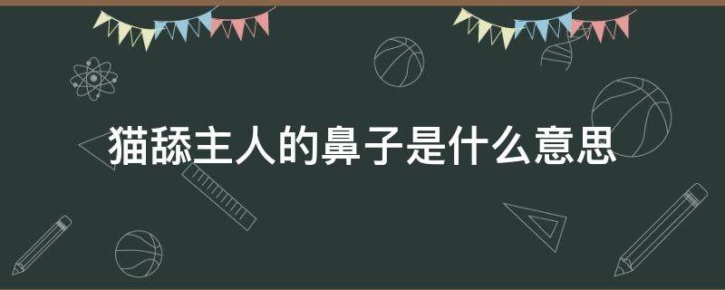 猫舔主人的鼻子是什么意思 猫舔人鼻子是什么原因