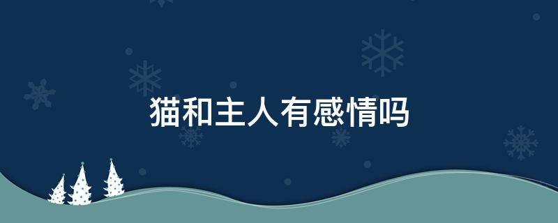 猫和主人有感情吗 猫知道主人对它的情感吗