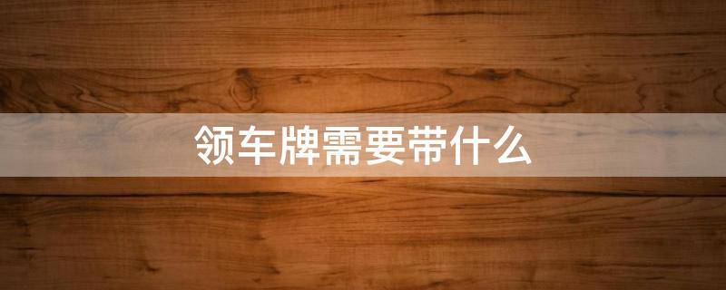 领车牌需要带什么 领车牌需要带什么证件