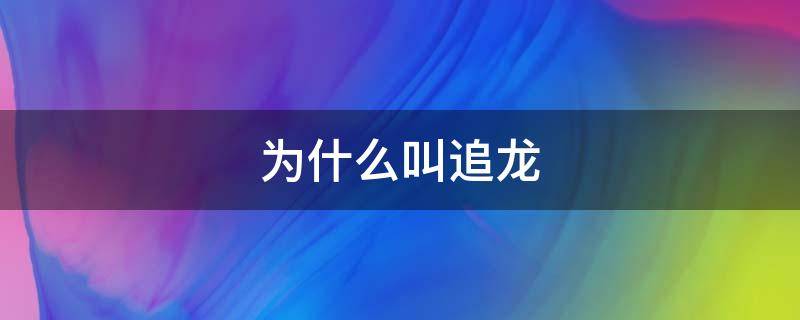 为什么叫追龙 追龙2为什么叫追龙