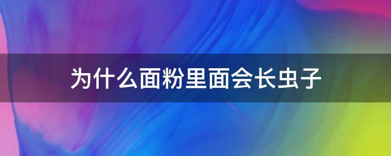 为什么面粉里面会长虫子 面粉怎么会长虫子