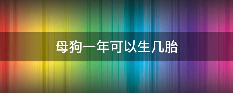 母狗一年可以生几胎 一只狗一年能生几胎