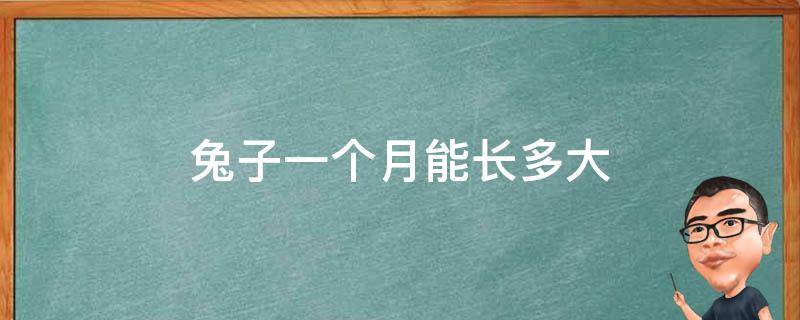 兔子一个月能长多大 兔子一个月长多少厘米