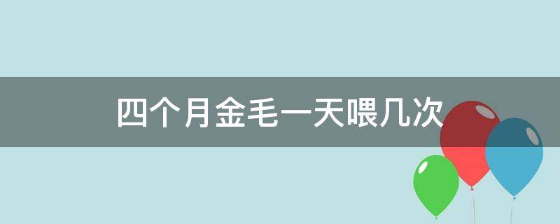 四个月金毛一天喂几次（4个月金毛一次吃多少）