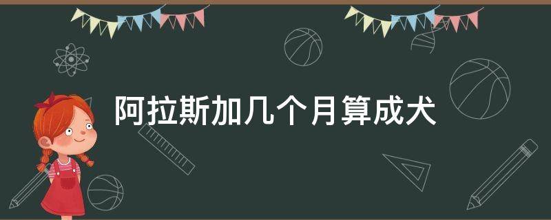 阿拉斯加几个月算成犬（阿拉斯加几个月算是成犬）