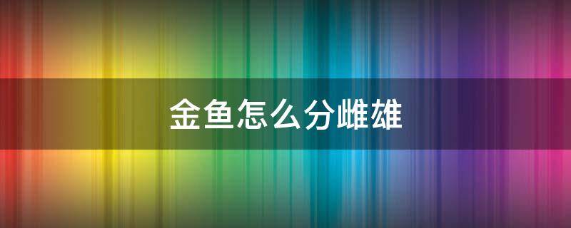 金鱼怎么分雌雄 金鱼怎么分雌雄图解