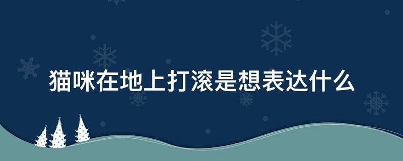 猫咪在地上打滚是想表达什么（猫喜欢在地上打滚是怎么回事）