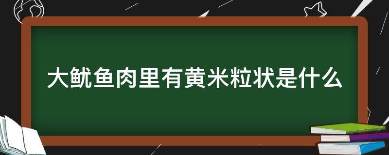 大鱿鱼肉里有黄米粒状是什么 鱿鱼肉里有黄颗粒