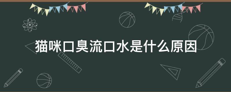 猫咪口臭流口水是什么原因 猫有口臭有口水是什么原因