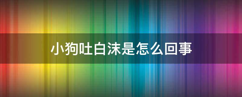 小狗吐白沫是怎么回事 满月小狗吐白沫是怎么回事