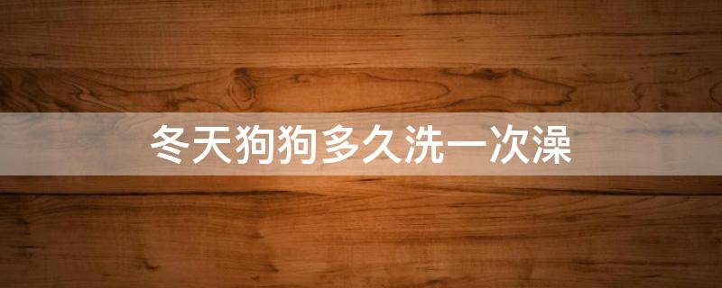 冬天狗狗多久洗一次澡 冬天狗狗一般多久洗一次澡