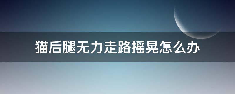 猫后腿无力走路摇晃怎么办 小猫突然后腿无力走路不稳来回晃