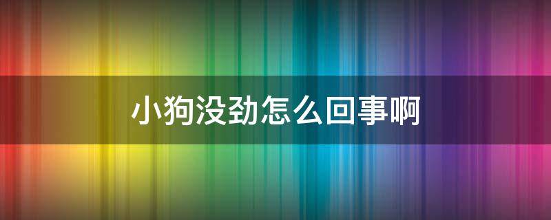 小狗没劲怎么回事啊 狗突然没劲