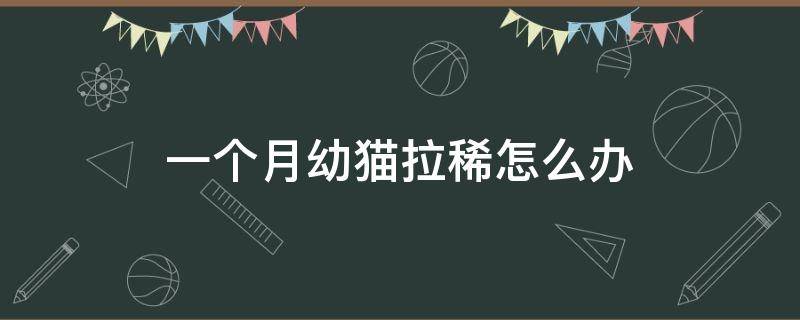 一个月幼猫拉稀怎么办（一个月左右的幼猫拉稀怎么办）