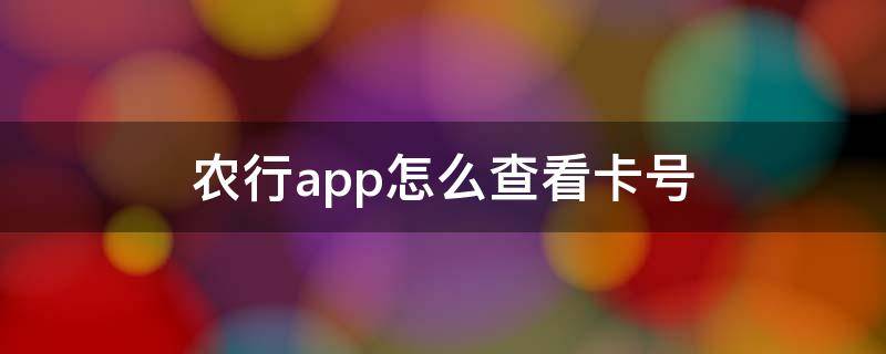 农行app怎么查看卡号 农行app哪里查看卡号