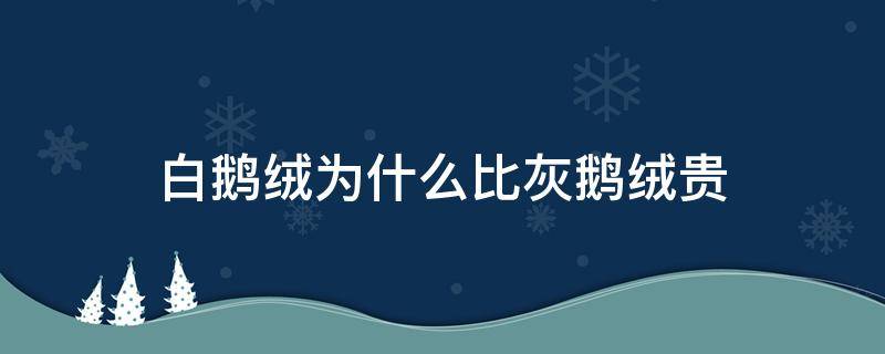 白鹅绒为什么比灰鹅绒贵（白鹅绒贵还是灰鹅绒贵）