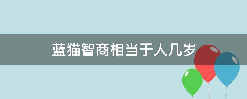 蓝猫智商相当于人几岁（成年蓝猫智商相当于人几岁）