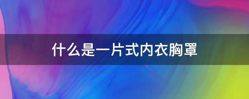 什么是一片式内衣胸罩（一片式的内衣）