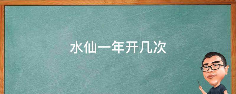 水仙一年开几次 水仙花可以开几次花