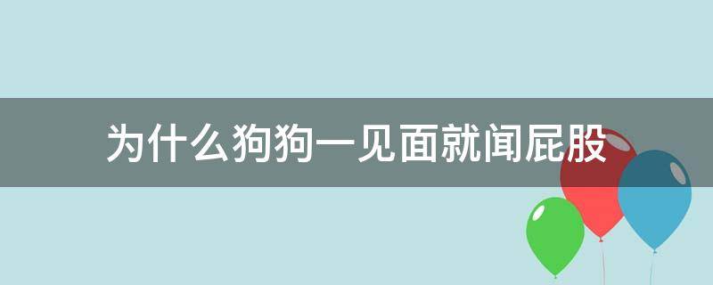 为什么狗狗一见面就闻屁股（狗狗之间为什么要闻屁股）