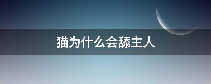 猫为什么会舔主人 猫为什么会舔主人的头发