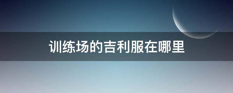 训练场的吉利服在哪里 怎样在训练场找到吉利服