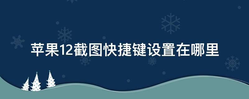 苹果12截图快捷键设置在哪里 苹果手机12截图快捷键设置