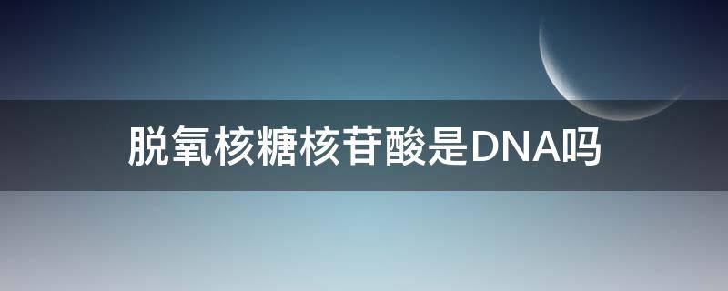 脱氧核糖核苷酸是DNA吗（DNA是脱氧核糖核酸吗）