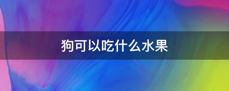 狗可以吃什么水果 小奶狗可以吃什么水果