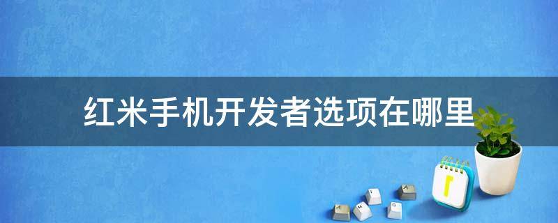 红米手机开发者选项在哪里（小米红米手机开发者选项在哪里）