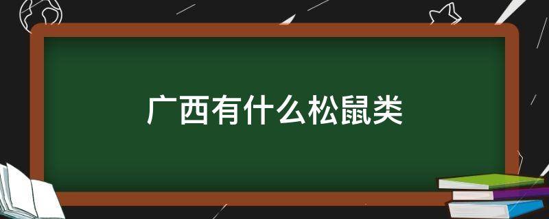 广西有什么松鼠类 广西分布的松鼠种类