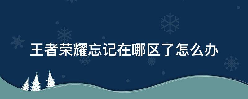 王者荣耀忘记在哪区了怎么办 王者荣耀忘记在哪区了怎么办安卓