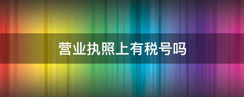 营业执照上有税号吗（营业执照上的是不是税号）