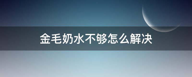 金毛奶水不够怎么解决 金毛不喂小狗奶怎么办