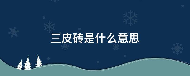 三皮砖是什么意思 什么叫三皮砖